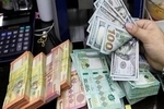 دلار یک گام دیگر عقب نشینی کرد/ تداوم کاهش قیمت‌ها