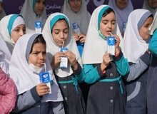 خلف وعده دولت درباره توزیع شیر مدارس 