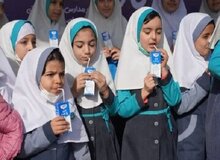 خلف وعده دولت درباره توزیع شیر مدارس 