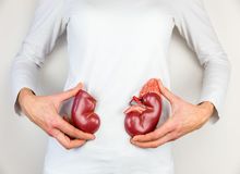 درباره یک رژیم غذایی برای پیشگیری از عود مجدد سنگ کلیه بیشتر بدانید