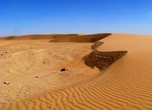 
سالانه یک میلیون هکتار به بیابان‌های کشور افزوده می‌شود