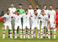 دولت دخالتی در انتخاب کادر تیم ملی فوتبال ندارد
