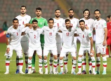 دولت دخالتی در انتخاب کادر تیم ملی فوتبال ندارد
