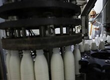 قیمت جدید شیرخام گران شد