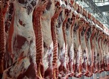 اختلاف قیمت ۲۵ درصدی گوشت گوسفندی در میادین میوه نسبت به سطح شهر