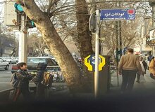 عضو شورای شهر تهران: در هر شهر ایران، باید خیابانی به نام «غزه» نامگذاری شود
