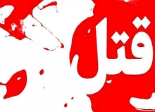 انتقام از همسر با قتل برادر زن/ قاتل ساعتی پس از ارتکاب جنایت، روی پل عابر خودکشی کرد  
