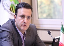 تیموری: جنگلداری اجتماعی به معنی جلب مشارکت مردم و دهیاران در حفظ منابع طبیعی است 