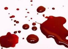 6سال حبس برای مرد ایرانی که همسرش را در آلمان کشت/به او گفتم مسیحی شو،مخالفت کرد؛ با چاقو زدمش