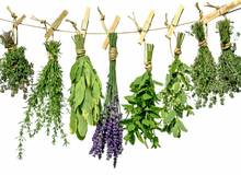 سبزیجات معطر؛ غنی کننده رژیم غذایی
