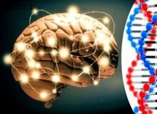 گزارش مرکز بین المللی مطالعات تیمز و پرلز نشان داد: نسل جدید ایرانیان قدرت ریاضی و استدلالی کمتری دارند 