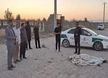 قتل مسلحانه فقط به خاطر چیدن چند دانه آلو