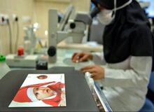 شتاب منحنی افزایش سن ازدواج در شمال تهران/ وجود ۳میلیون زوج نابارور در کشور
