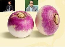 ارگان شهرداری تهران: چرا با نماینده ای که ارزشی ها را شلغم خوانده برخورد نمی شود؟