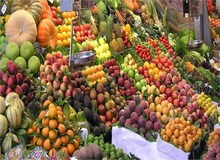 میوه و سبزی تازه رکوددار گرانی در هفته گذشته/ مرغ و تخم مرغ ارزان شد/ برنج و روغن ثابت ماند
