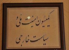 اعضای کمیسیون امنیت ملی با رییسی دیدار می کنند
