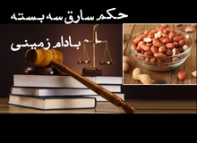 واکنش یک حقوقدان به اظهارات سخنگوی دستگاه قضا درباره سارق سه بسته بادام زمینی