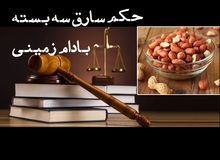 واکنش یک حقوقدان به اظهارات سخنگوی دستگاه قضا درباره سارق سه بسته بادام زمینی