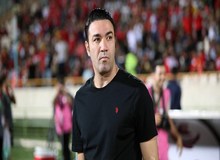 نکونام، فردا سرمربی استقلال می‌شود؟