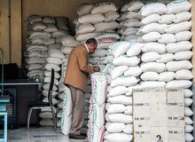 رئیس اتحادیه برنج‌فروشان بابل: مردم تمایلی برای خرید برنج ایرانی ندارند