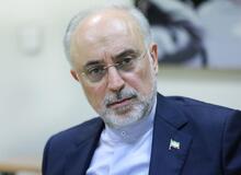علی اکبر صالحی، قائم مقام فرهنگستان، علوم شد