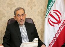 ولایتی: ایران اسلامی در دفاع از خود دست به سلاح برده است