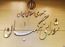 مدرسی یزدی: تصمیمات در شورای نگهبان قائل به فرد نیست

