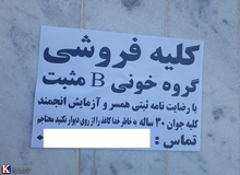 عضو کمیسیون بهداشت مجلس گفت: برای جلوگیری از فروش کلیه باید فقر را ریشه‌کن کرد
