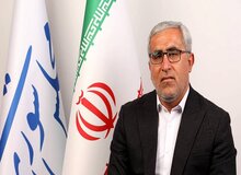نصیبی:دولت متناسب با وضعیت کشور آرایش لازم را نگرفته است