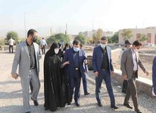 عضو شورای شهر تهران: کارتن‌خوابی، سبک زندگی است!