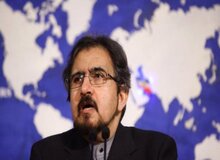 توضیحات قاسمی درباره بازداشت استاد ایرانی در دانمارک
