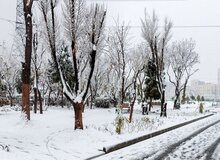 پیش‌بینی هواشناسی از بارش برف طی هفته آینده