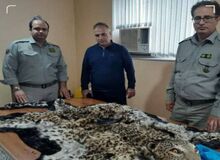 قاتل پلنگ دستگیر شد +عکس