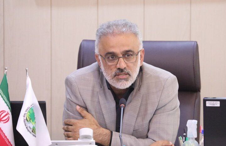 شکست طرح کاشت یک میلیارد درخت در دولت رئیسی/ رئیس سازمان منابع طبیعی: ریالی برای طرح کاشت یک میلیارد درخت پرداخت نشده است  