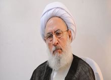 آیت‌الله مجتهدشبستری: این شورای نگهبان است که پاسدار جمهوریت نظام است