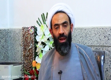 حجت الاسلام نقد علی:  سگ گردانی برای مردم تبدیل به «کلاس» شده، جلوی این کارها  را می گیریم/ مجلس با کلیات طرح صیانت از حقوق عامه مقابل حیوانات موافق است