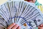 قیمت جدید دلار، یورو و سایر ارزها امروز ۲۶ تیرماه ۱۴۰۵/ جدول