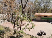 میراث فرهنگی: حصار پارک قیطریه برداشته شد / به شهرداری نامه زدیم که قبل از انجام هر کاری باید کارشناس ما در آنجا مستقر باشد / در محوطه باستانی قیطریه ۳۵۰ گور کشف شده؛