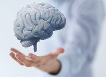 بهترین غذاها برای سلامت مغز و پیشگیری از آلزایمر