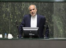 زارعی: مجلس باید در خصوص حذف ارز ترجیحی تصمیم بگیرد