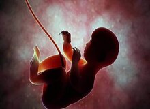 دبیر ستاد ملی جمعیت: ۸۷ درصد جوانان ۱۸ تا ۳۵ ساله تمایل به صفر تا دو فرزند دارند/ نرخ فعلی باروری در کشور به حدود ۱.۴۴ رسیده