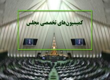 هشت وزیر دولت در کمیسیون های تخصصی مجلس حضور می یابند