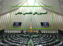 هشت وزیر دولت در کمیسیون های تخصصی مجلس حضور می یابند
