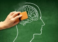 تغذیه، سپری در مقابل آلزایمر