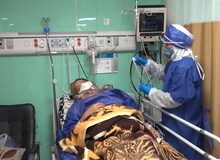 وزیر بهداشت: وارد موج هفتم کرونا شده ایم