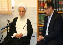 آیت‌الله مکارم شیرازی: مسایل سیاسی و بهانه‌جویی‌ها فکر دولت را مشغول کرده است