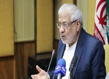 بادامچیان: مسببین سانحه هواپیمای مسافربری در یک فرآیند قانونی باید پاسخگو باشند/ مجلس آینده، مجلس گفتمان انقلابی‌گری و کارآمدی است