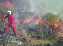 آتش ۱۰ هکتار از «شبه جزیره میانکاله» را در برگرفت