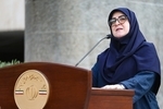 مهاجرانی:طبیعی است که کشور دچار گرانی شود /این دولت در شرایط جنگی شکل گرفت 