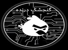 سومین حمله موفق گنجشک‌های درنده در دو سال/ درباره گروه "گنجشک‌های درنده" بیشتر بدانید
